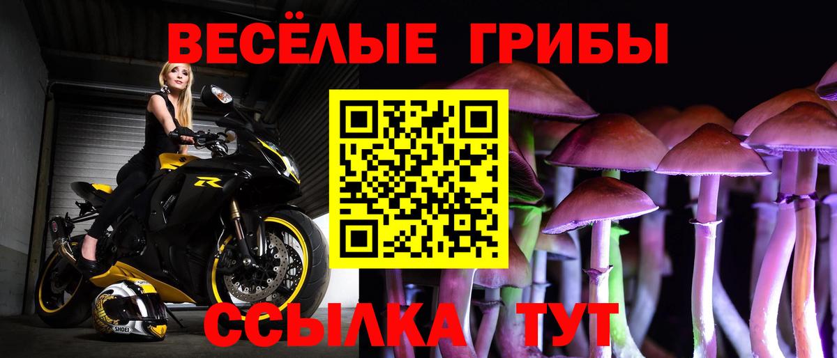 Сургут  как найти закладки  Вход с VPN  Галлюциногенные грибы ЛСД 
